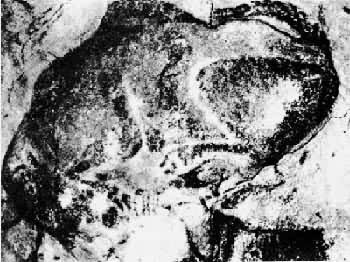 �����˵�Ұţ��