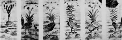 TKM 50 ��Ĺ�ڻ�