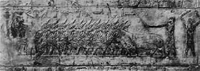 ������ͼ��