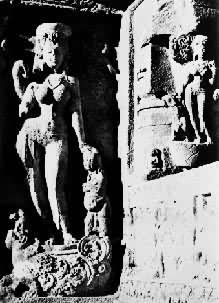 ��21�ߣ������Ů��