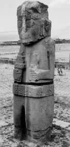 �������ɿ���ַ�ϵġ�ɮ����