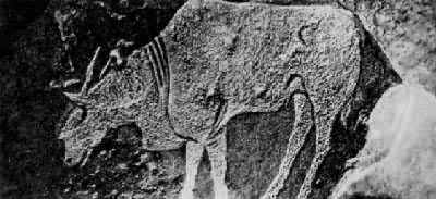 �Ϸǵ���ʡ�ҿ̡�������