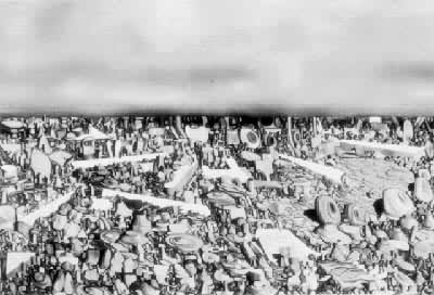 �ƾ����������ߵ���ֳ��