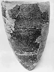 ������������ʯ��ʱ����