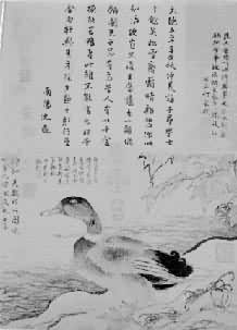 ��Ϫ��ͼ��