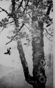 �����ϴ�ɫ��