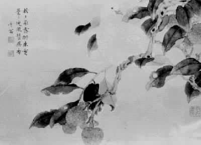 ����֦�׸롷