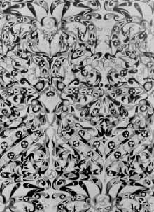 ս����������ƾŲ�����