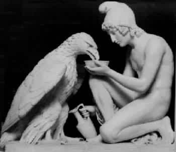 �ж��ߵ�ɭ���������׵¡�