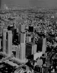 �¶���������