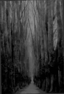 �����ҡ�(1989)