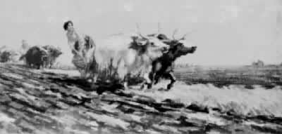 ��ǧ�����ط�������