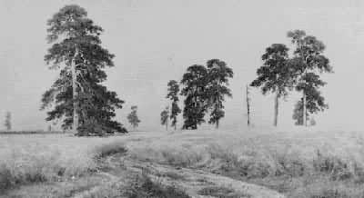 ϣʲ��:�����