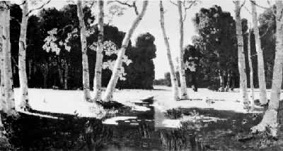 ����:�������֡�