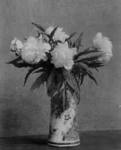 ����ҩ����