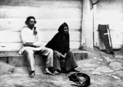 ��ũ��Ĺ�ľ��