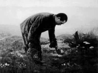 �������Զ�������ǡ�