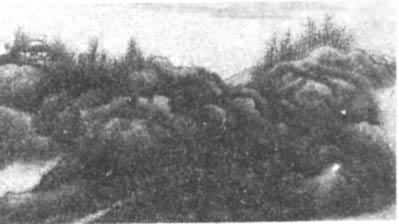 ����������ͼ�������֣�