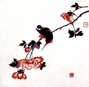 ���塶ܽ�ش��񡷣�����