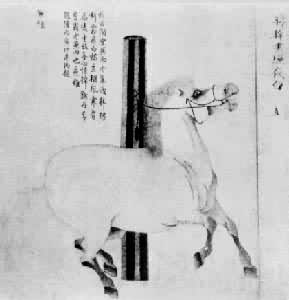 ����ҹ��ͼ��