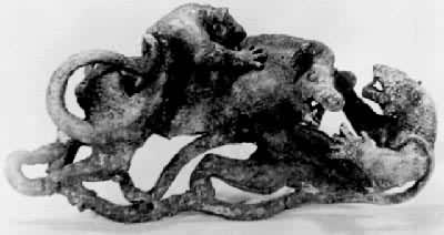 ����������͸��ͭ����