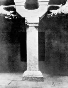 ���ϻ���ʯĹĹ�Ҷ���ʯ��