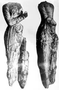 ����Ů����