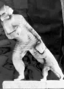 ����ը��