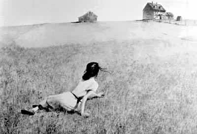 ������˿���ȵ����硷