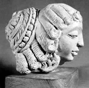 ����ǡ���������ġ������ߵ�ͷ��