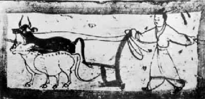 ��ţ��ͼ��