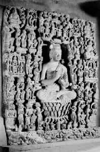 ������˵����