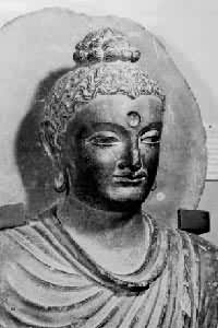 ���������񡷣��ֲ���