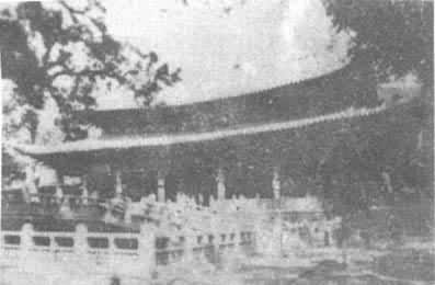 ʥĸ����ӷ���