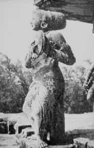 ��������Ů��