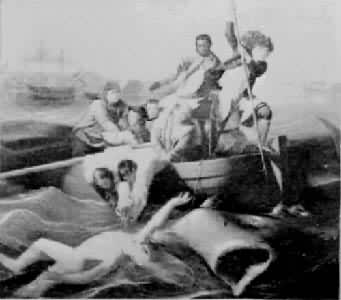 ����ɭ�����㡷