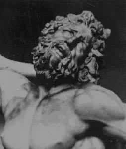 �����¿ס����ֲ���