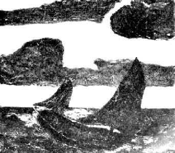 ����ҹ�ĺ���