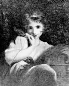 ���ޱ�������