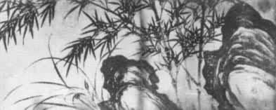 ������ͼ�����ֲ���