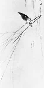 �����ˣ�����ѻ��ѩ��