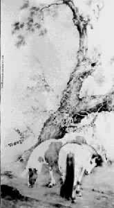 ��˫����