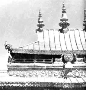 ����������֮�ֽ��ݶ�