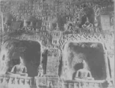 ��������Ⱥ