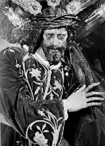 ���������ѡ�