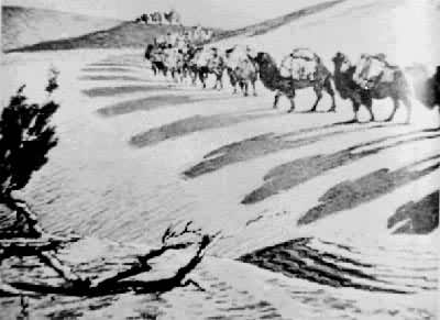 ������ľ�������̲�ϵ��̶ӡ�