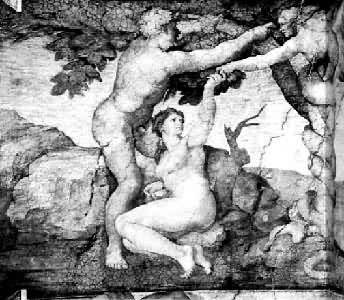 ���ǵ������ޡ�