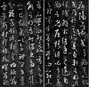 ��ͣ�ƹ��������յ����ͥ�����ס�