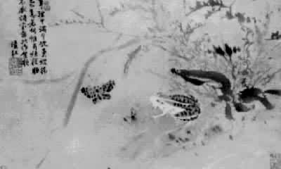 ��ڼ�������ܲݵ�ͼ��