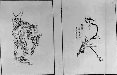 ��������ż㡷